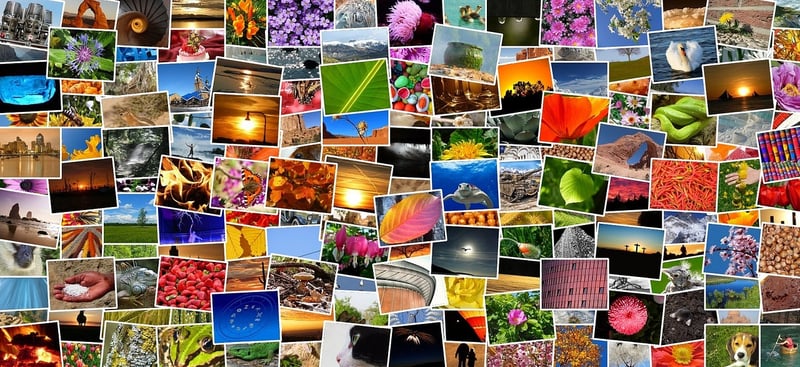 Photo Album